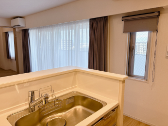 ���r���O �y���r���O�L�b�`���z�I�[�_�[�̃��[�X�J�[�e���ƃJ�[�e���t���B